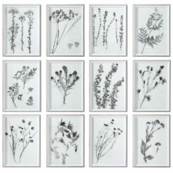 Uttermost Contemporary Botanicals Framed Prints, S/12