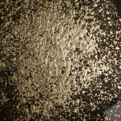 Accessories Uttermost Gold Rondure Framed Prints, S/2