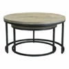 Moe's Home Collection Drey Round Nesting Coffee Tables Set Of 2