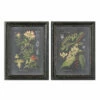 Coupon 🔥 Uttermost Midnight Botanicals Wall Art S/2 Accessories 🤩 2 Uttermost Midnight Botanicals Wall Art S/2 Accessories