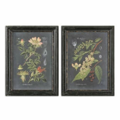 Uttermost Midnight Botanicals Wall Art S/2 Accessories