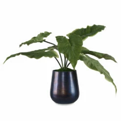 Accessories Uttermost Mari Calla Accent Plant