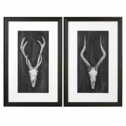 Accessories Uttermost Rustic European Mounts Prints S/2