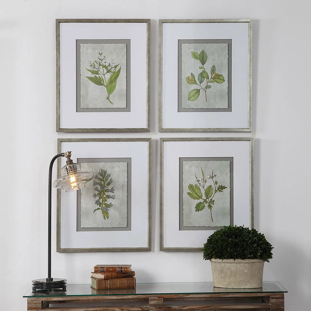 Best deal ๐ Uttermost Stem Study Framed Prints Set/4 โค๏ธ 8 Uttermost Stem Study Framed Prints Set/4