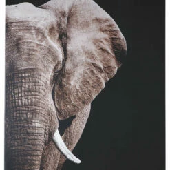 Ashley Furniture Jendayi - Black/white/gray - Wall Art