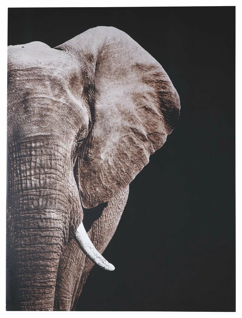 Best reviews of 💯 Ashley Furniture Jendayi - Black/white/gray - Wall Art ⭐ 3 Ashley Furniture Jendayi - Black/white/gray - Wall Art