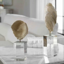 Uttermost Oyster Shell Sculptures, S/2 Table Decor