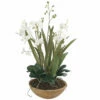 Uttermost Moth Orchid Planter Accessories