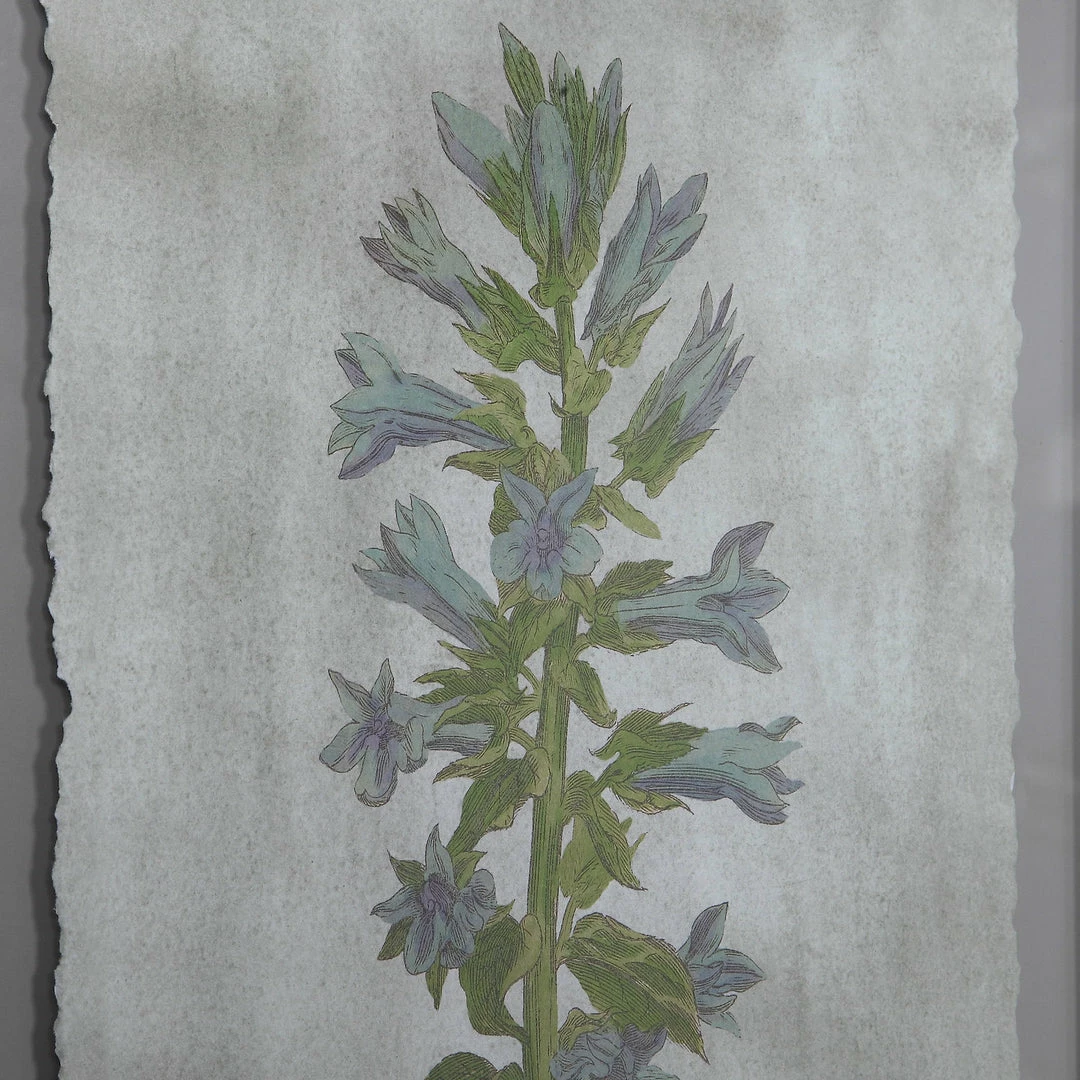 Best deal ๐ Uttermost Stem Study Framed Prints Set/4 โค๏ธ 5 Uttermost Stem Study Framed Prints Set/4