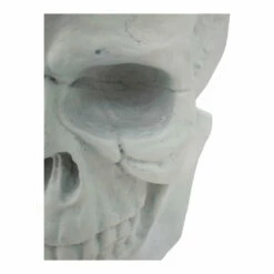 Moe's Home Collection Braincase Skull Statue White Table Decor