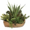Top 10 🤩 Accessories Uttermost Salar Succulents In Teak Bowl 👍 1 Accessories Uttermost Salar Succulents In Teak Bowl