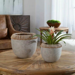 Uttermost Aponi Concrete Ray Bowls, S/2 Table Decor