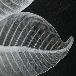 Uttermost Foliage Framed Prints, S/6 Accessories