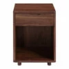 Moe's Home Collection Nightstands Osamu Walnut Nightstand